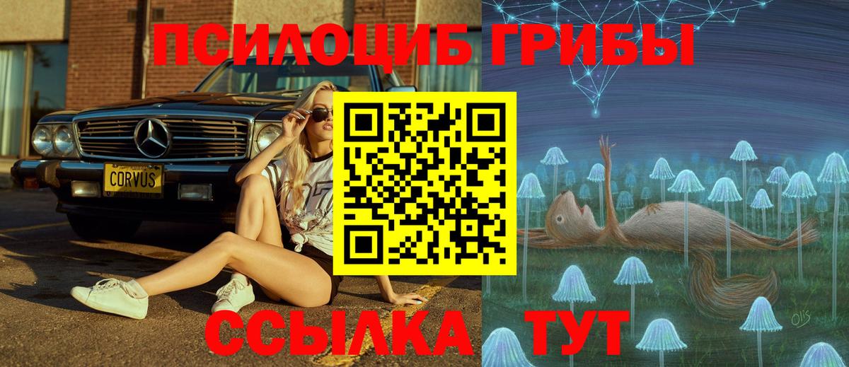 Псилоцибиновые грибы Красноуфимск